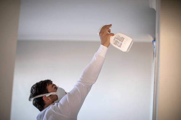 Best Commercial Mold Removal  in Omak, WA