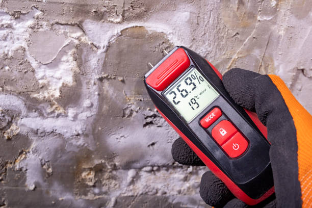 Best Black Mold Removal  in Omak, WA