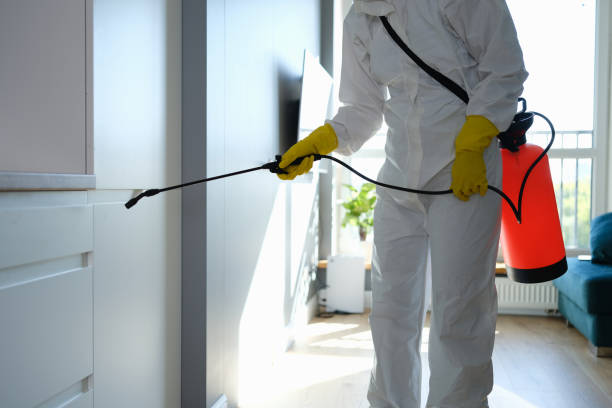 Best Mold Removal Near Me  in Omak, WA