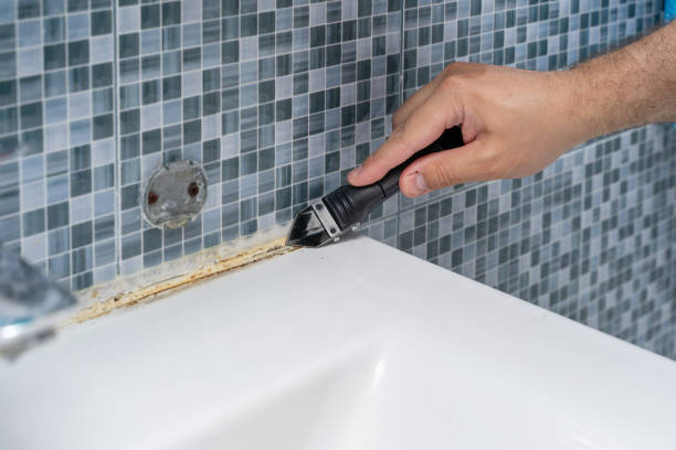 Mold Removal and Inspection in Omak, WA